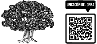 logo arecha ceiba footer